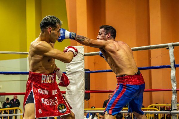 Vélo fixie : choix audacieux ou mode passagère ?